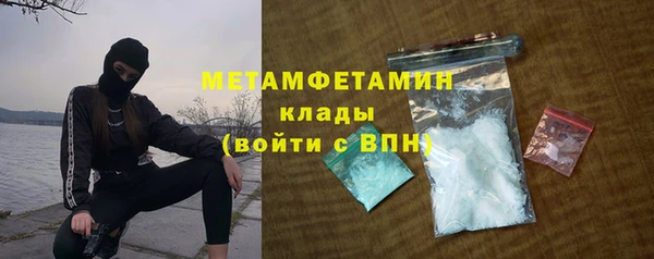ГАЛЛЮЦИНОГЕННЫЕ ГРИБЫ Бородино