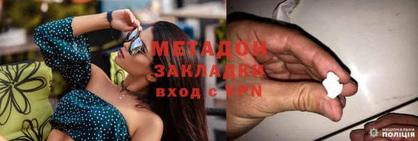 ГАЛЛЮЦИНОГЕННЫЕ ГРИБЫ Бородино