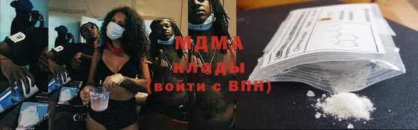 ГАЛЛЮЦИНОГЕННЫЕ ГРИБЫ Бородино