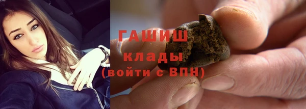 ГАЛЛЮЦИНОГЕННЫЕ ГРИБЫ Бородино