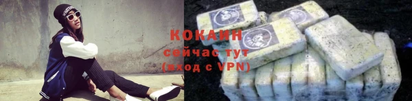 ГАЛЛЮЦИНОГЕННЫЕ ГРИБЫ Бородино