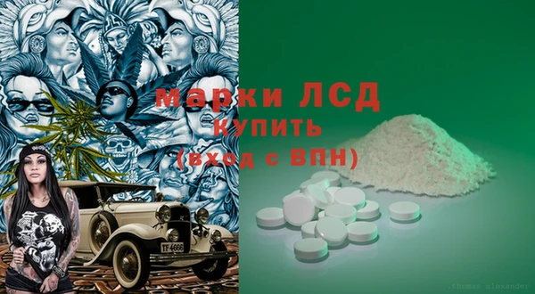 ГАЛЛЮЦИНОГЕННЫЕ ГРИБЫ Бородино