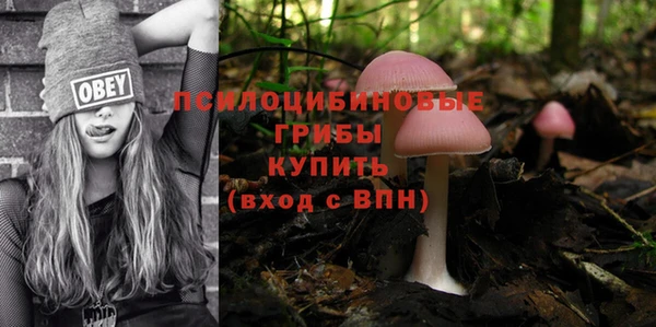 ГАЛЛЮЦИНОГЕННЫЕ ГРИБЫ Бородино