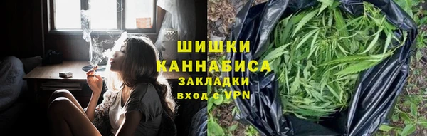 ГАЛЛЮЦИНОГЕННЫЕ ГРИБЫ Бородино