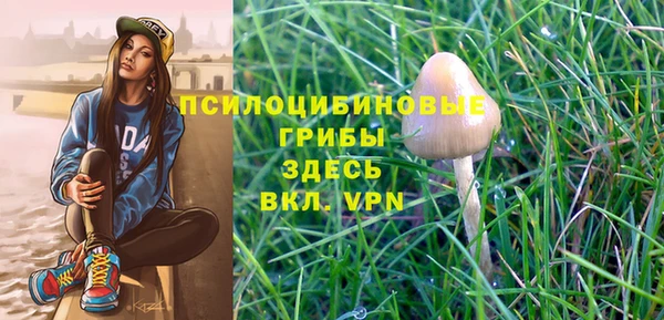 эйфоретик Бугульма