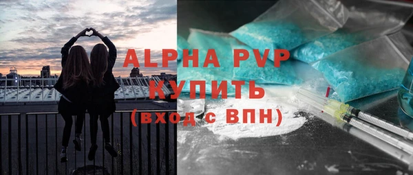 ГАЛЛЮЦИНОГЕННЫЕ ГРИБЫ Бородино