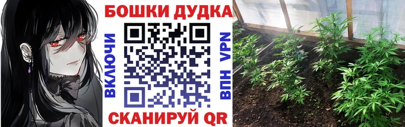Купить закладки  Кимовск  МАРИХУАНА семена 